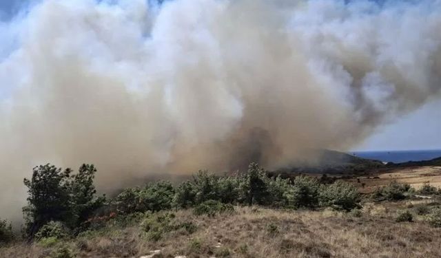 Bozcaada'da büyük yangın