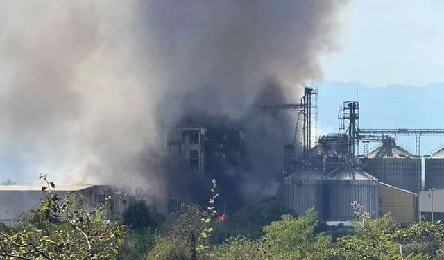 Sakarya'da fabrikada patlama: 1 kişi hayatını kaybetti, 30 kişi yaralandı