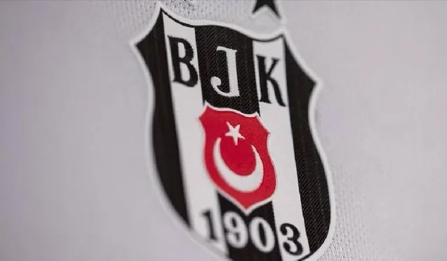 Beşiktaş Kulübü yeni başkanını "30 gün içinde" seçecek