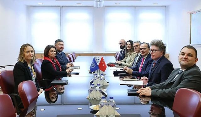 Türkiye Dışişleri Bakan Yardımcısı Bozay, DiCarlo ile görüştü