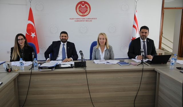 “Sağlık Hizmetleri Dairesi Yasa Tasarısı” ele alındı
