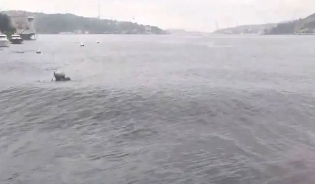6,2 şiddetinde deprem... Boğaz'da dalgalar oluştu