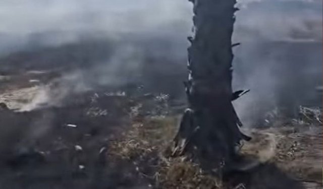 Yangın müdahale çalışmaları yarın Lefkoşa’da tanıtılacak