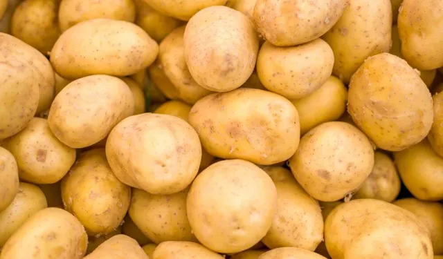 Harvardlı bilim insanları uyardı: Patatesi böyle tüketmek, diyabet riskini artırıyor