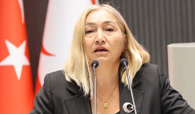 Yasemin Öztürk: Bu bir CTP projesidir