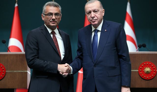 Rum basını: Erdoğan, Erhürman'a Kıbrıs'ta iki devletin "İş Birliği Konseyi" modelini sundu