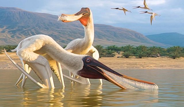 110 milyon yıllık yeni uçan sürüngen türü keşfedildi