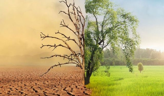 Kıbrıs’ta iklim değişikliği ve taşkınlar konulu seminer düzenleniyor