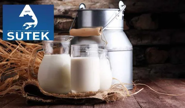 SÜTEK, Ekim ayı çiğ süt ödemelerini gerçekleştirdi
