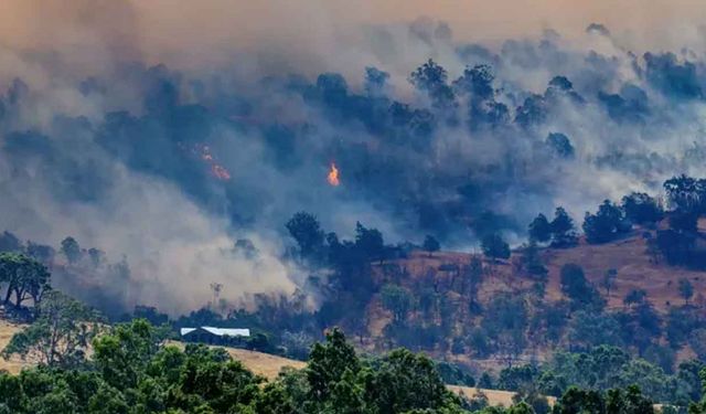 Avustralya yanıyor "Haftalar sürebilir"