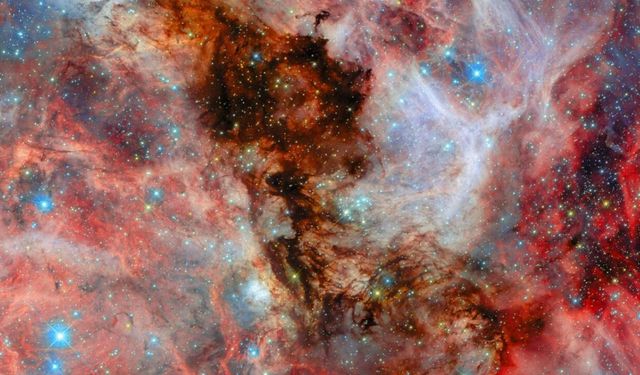 Hubble, komşu galaksideki bebek yıldızları görüntüledi