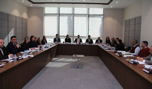 İdari, Kamu ve Sağlık İşleri Komitesi, Bütçe Dairesi ile BRTK yasa tasarılarını görüştü