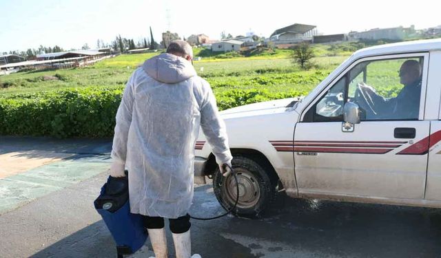 Rum basını yazdı: Şap hastalığı yayılmayı sürdürüyor