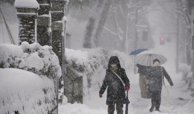 Japonya'da şiddetli kış şartlarından kaynaklanan can kayıplarının sayısı 46'ya yükseldi