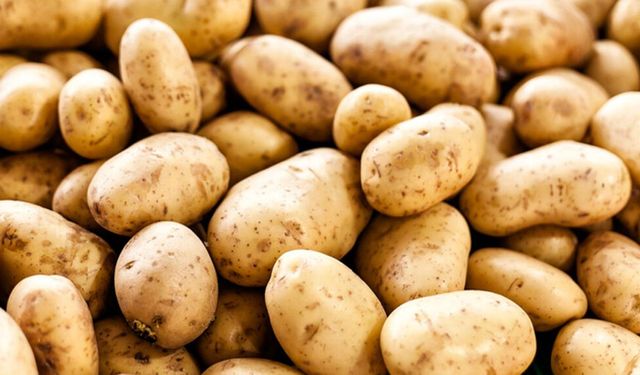 Patates üreticileri için itiraz süresi çarşambaya kadar uzatıldı