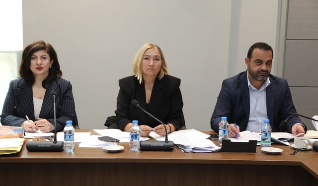 Hukuk, Siyasi İşler, Dışilişkiler ve Savunma Komitesi toplandı