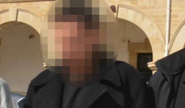 Sahte belgeyle ülkeye cins köpekleri sokmaya çalıştı