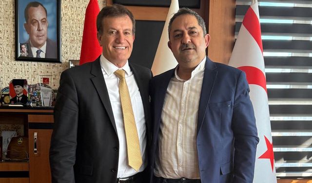 Mehmet Hasgüler, Yeniden Doğuş Partisi Genel Başkan Danışmanı oldu