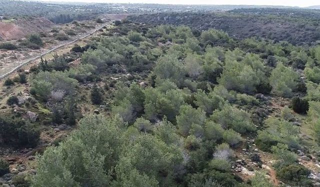 Mecliste destek şimdi geri çekme talebi