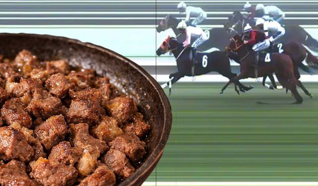 Yer Mersin: Şampiyon yarış atı, aşevi'nde kavurma oldu!