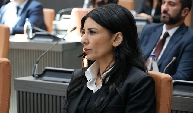 Özdenefe: Komiteler toplanma günlerinde toplanmıyor