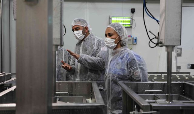 Değirmenlik Akıncılar Belediyesi Sağlık Şubesi, 81 iş yerini denetledi