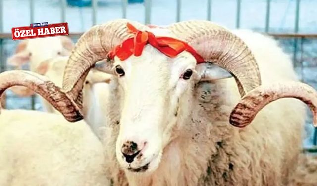 Vatandaş konuştu: Dini bayramımızın gereklerini yerine getiririz