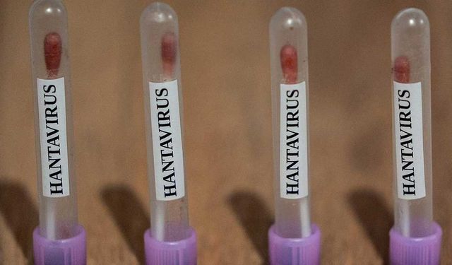 DSÖ: Hantavirüsün küresel nüfus için oluşturduğu risk düşük