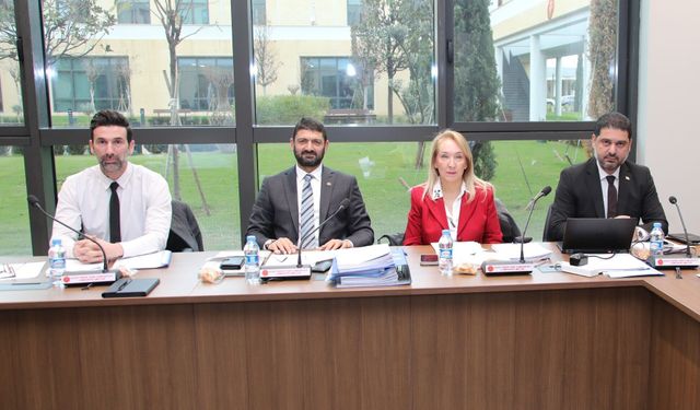 İdari, Kamu ve Sağlık İşleri Komitesi gündemindeki yasa tasarısını görüştü