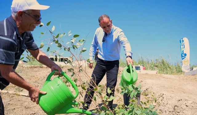 LTB Haspolat'ta 12 bin Ağaç ile Endüstri Ormanı Oluşturuyor