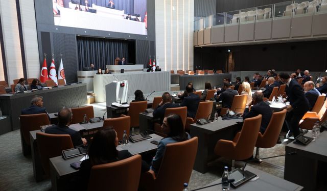 Meclis'te Seçim ve Halkoylaması (Değişiklik) Yasa Tasarısı görüşülüyor