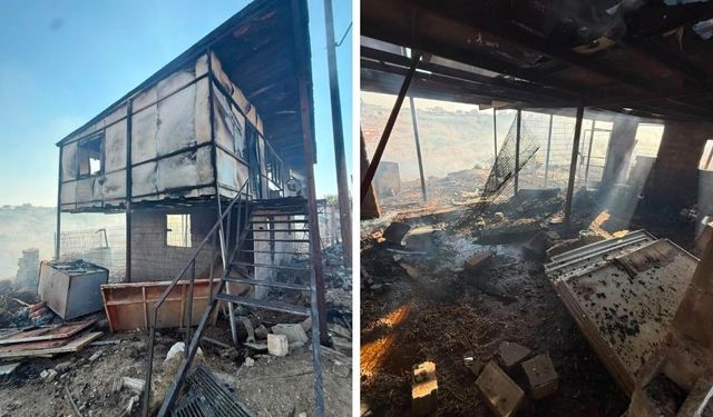 Güngör Ağıllar Bölgesi'nde yangın: 146 hayvan telef oldu, 2 kişi dumandan etkilendi