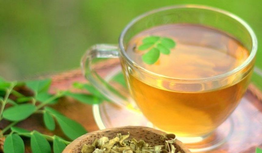 Moringa çayının faydaları nelerdir?