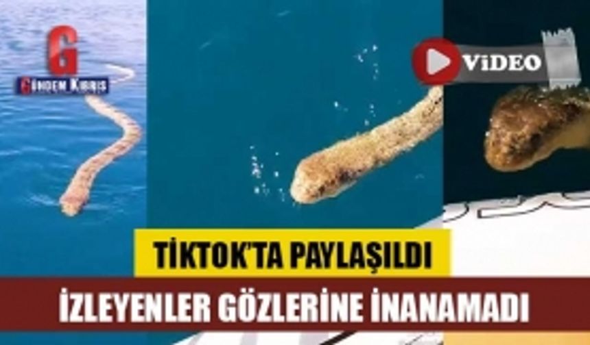 İzleyenler gözlerine inanamadı