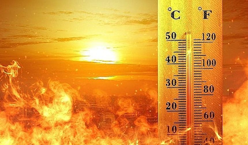 İklim değişikliğinin bedeli: Şubat ayında sıcaklık rekorları kırıldı