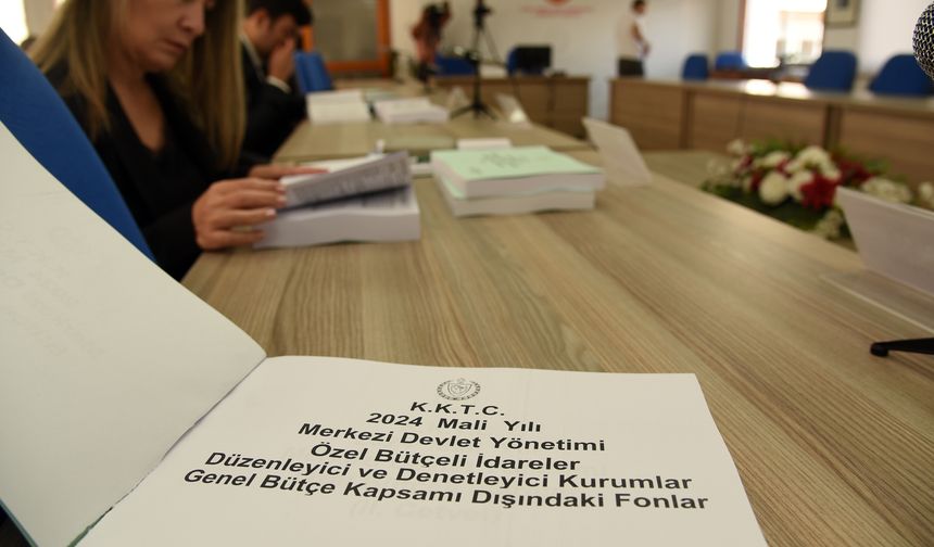 Ombudsmanın bütçesi oy çokluğuyla kabul edildi