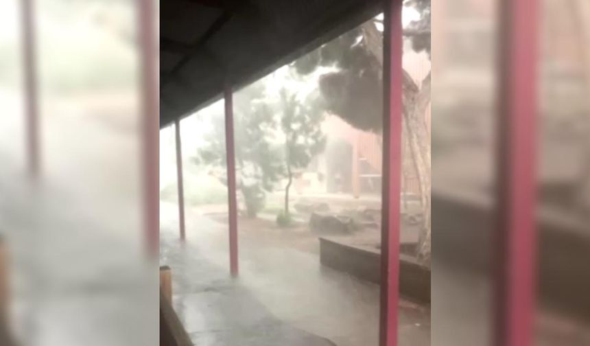 Avustralya'nın Victoria eyaletinde fırtına: Binlerce kişi elektriksiz kaldı