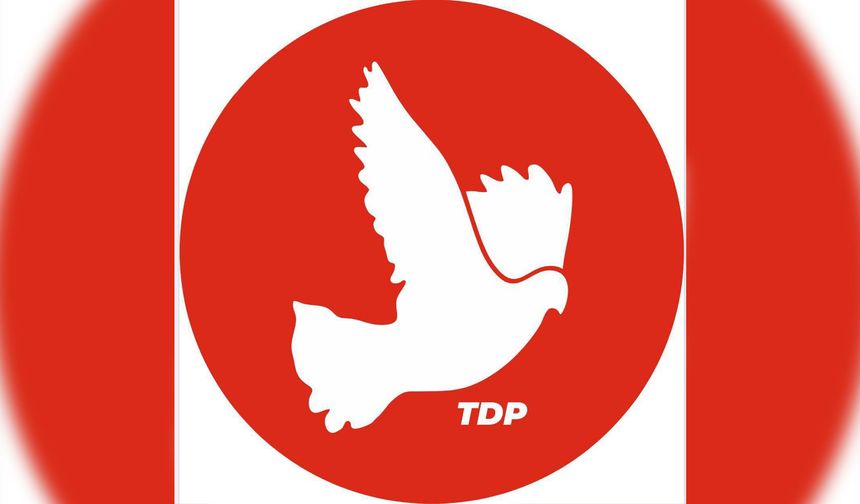 TDP: Hemşirelerin gerçek politikalarla desteklenmesi gerek