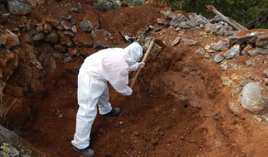 İsviçre’den Kayıp Şahıslar Komitesi’ne 195 bin İsviçre Frangı destek