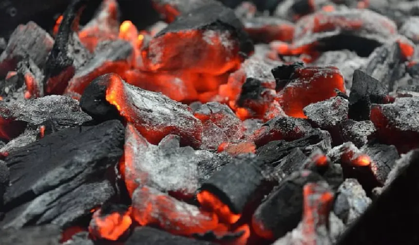 Mangal yakmaya çalışan kişi yangına sebep oldu