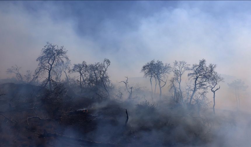 Yunanistan'da orman yangınlarına müdahaleler sürüyor