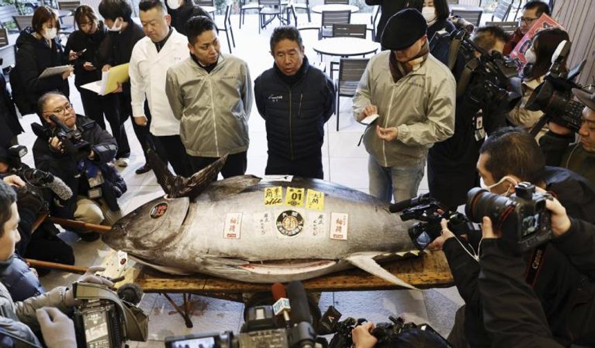 Japonya'da mavi yüzgeçli orkinos 1,3 milyon dolara satıldı