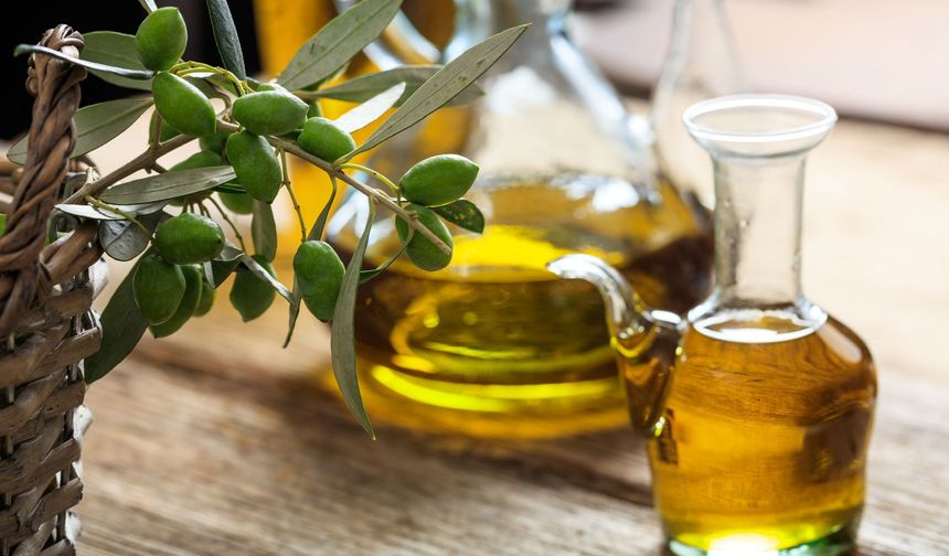 36 zeytin yağı numunesinin 3’ünde tağşiş tespit edildi