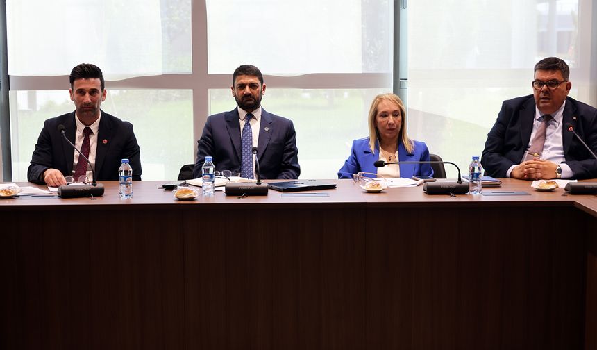 İdari, Kamu ve Sağlık İşleri Komitesi üç tasarıyı görüştü