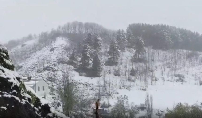 İlkbaharda kış geri döndü: Erzurum'a lapa lapa kar yağdı