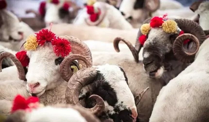 Kurban Bayramı devam ediyor