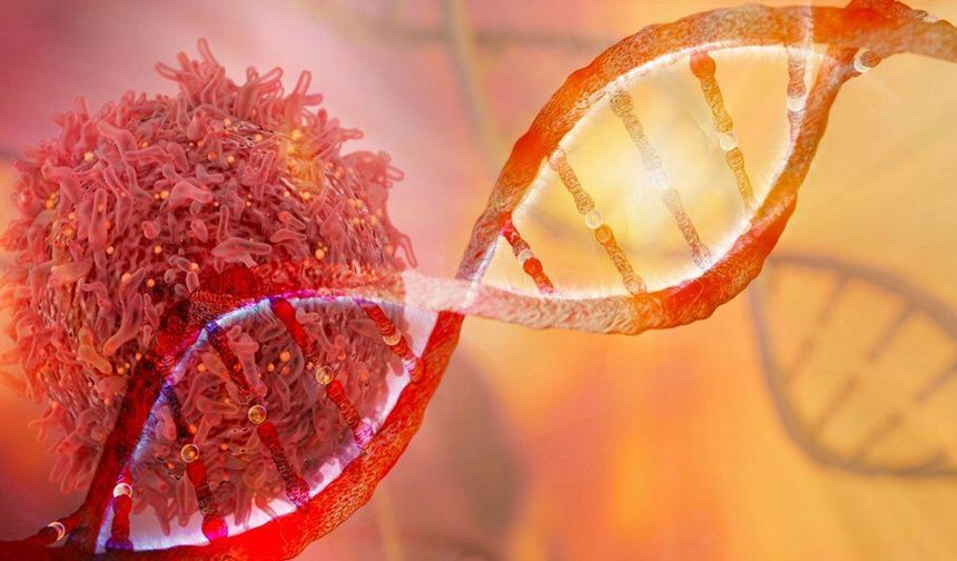 Kanseri 'MAT' edecek buluş