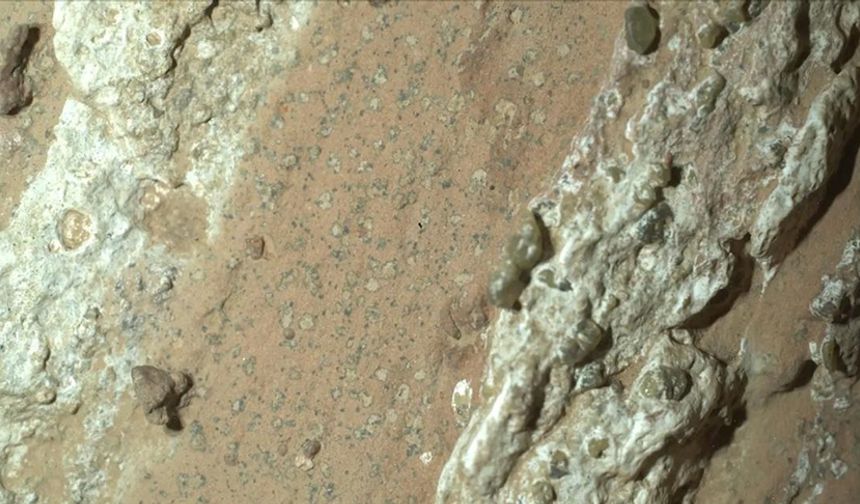 NASA: Mars'ta bulunan leopar benekli kaya, gezegendeki en net yaşam belirtisi olabilir