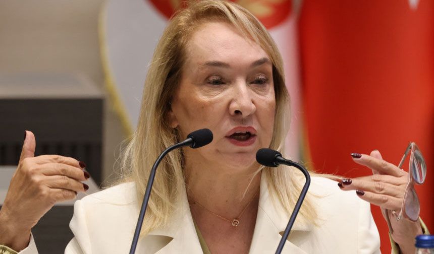 Besim: Düzgün bir sağlık sistemi kurmayı başaramadık