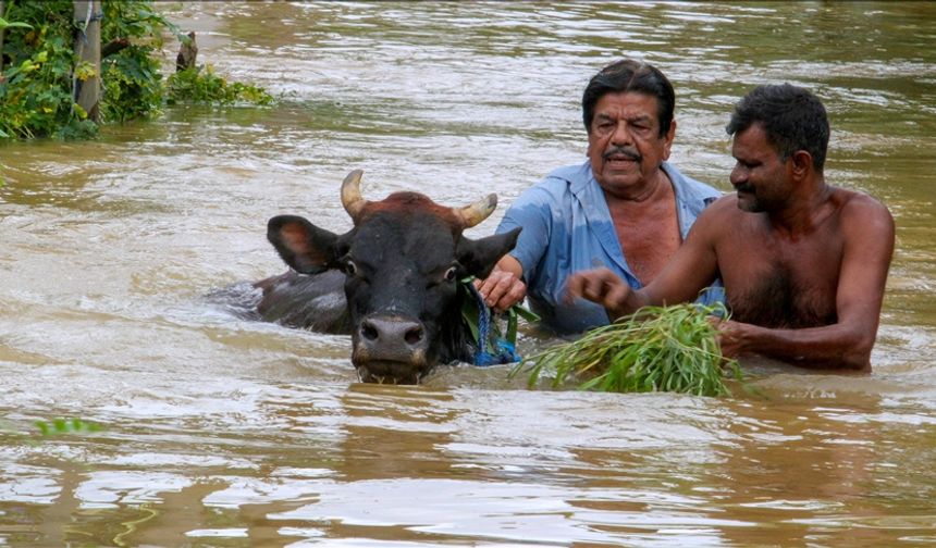 Sri Lanka'da şiddetli yağışların neden olduğu afetlerde 47 kişi öldü